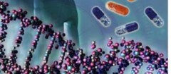 analise-de-dna-santa-rita-1402456333