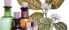 farmacias-de-homeopatia-santa-rita-1402460026