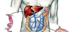 gastroenterologia-santa-rita-1402510656
