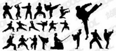 kung-fu-santa-rita-1402416229