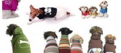 roupas-para-cachorro-santa-rita-1402336066