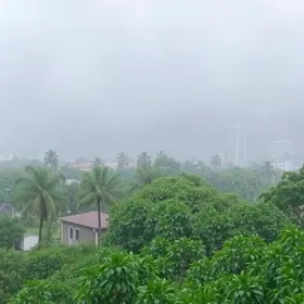 Santa Rita