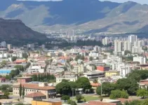 parecer técnico do TCE