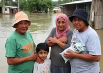 solidariedade