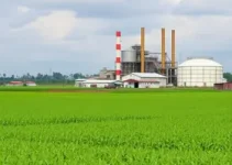 fortalecimento do agro