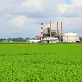 fortalecimento do agro