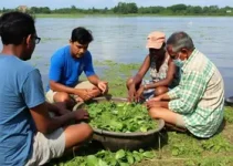 projeto agroextrativista pesqueiro da Paraíba
