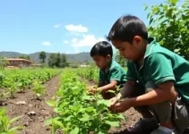 educação ambiental